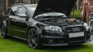 Learning to Live with and Eventually Love EVs – By a Massive Petrol Head 5